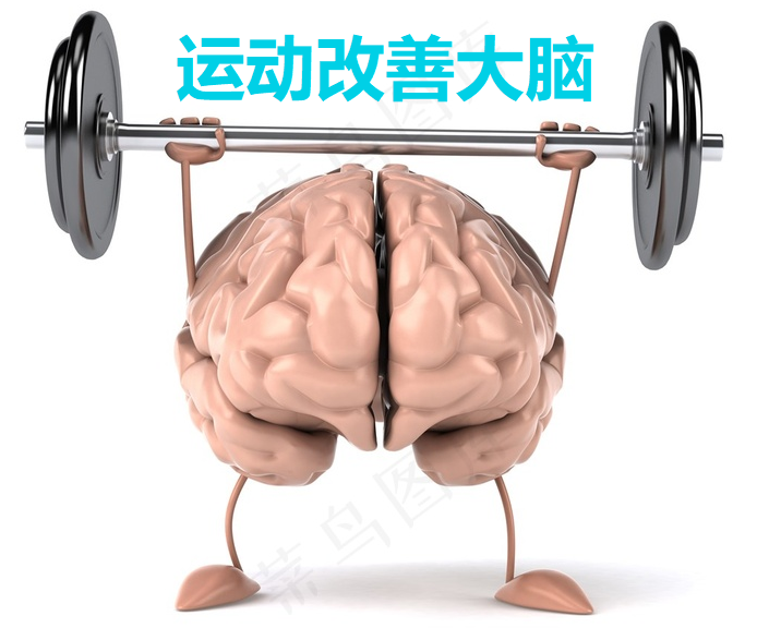 动物图片1